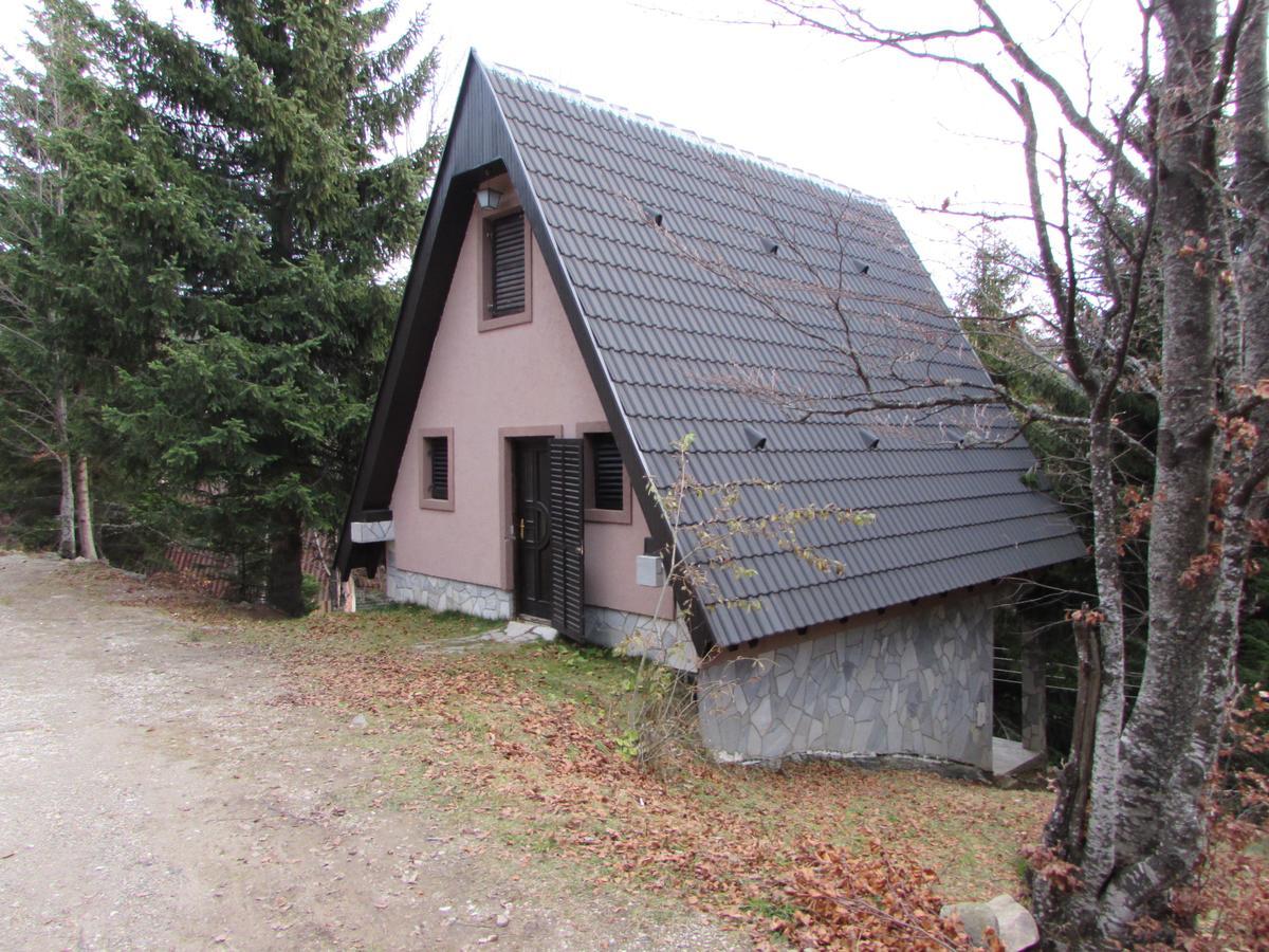 Holiday Home Kragovic Kopaonik Ngoại thất bức ảnh